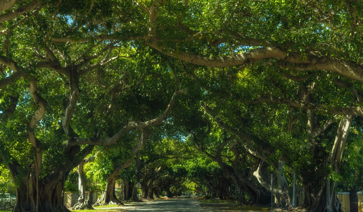 Coral Gables Radiation Specialists